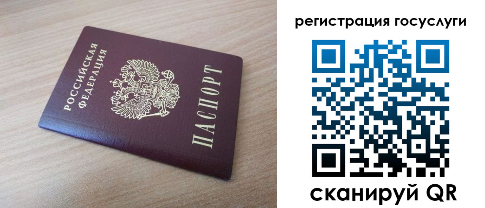 прописка гарантия в Ростове